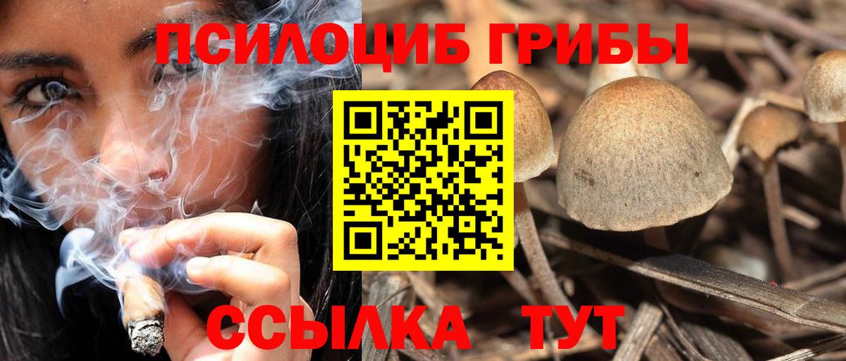Псилоцибиновые грибы мухоморы  Вход с VPN  Псилоцибиновые грибы ЛСД  Россия 
