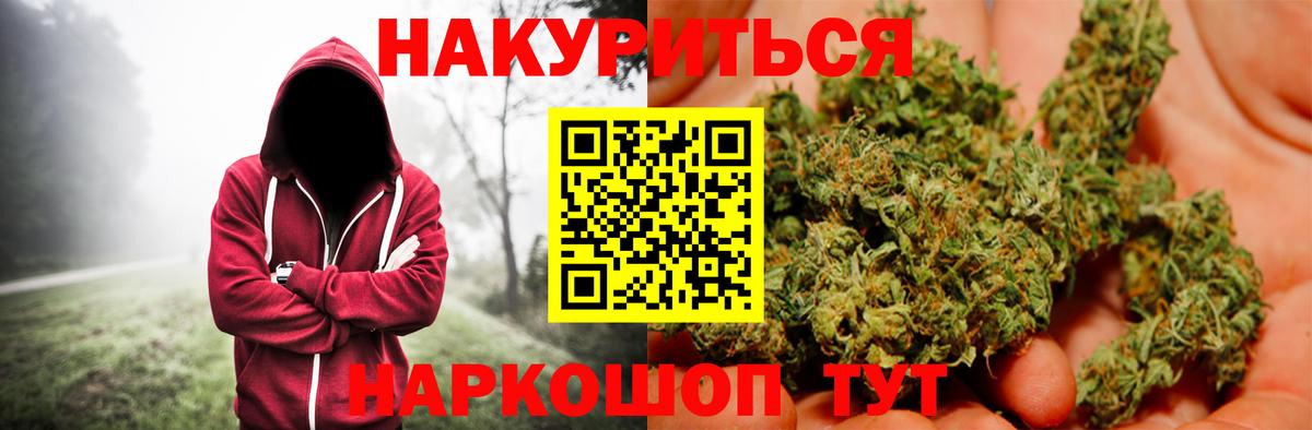 Шишки марихуана планчик Россия